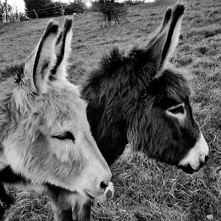 Les Granges Indigo Fossemagne