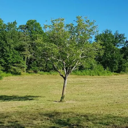 Les Granges Indigo Hébergement de vacances Fossemagne