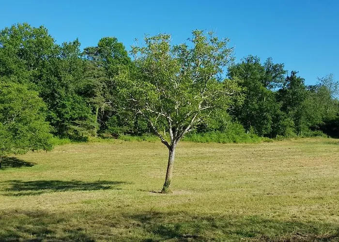 Les Granges Indigo Vakantiehuis Fossemagne